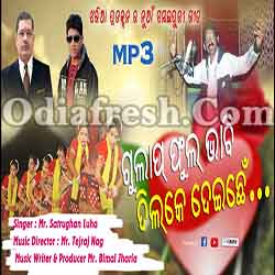 Gulap Phul Bhabi Dil Ke Deichhe (Satrughan Luha) New Sambalpuri Song